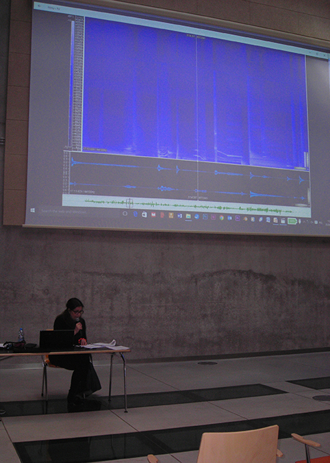 Kasia Kujawska-Murphy Festival of Science and Art, Lecture (opened) “Seen and Heard – Visible and Audible Waves. Innovations in the Visual Arts”;  University of Fine Art,